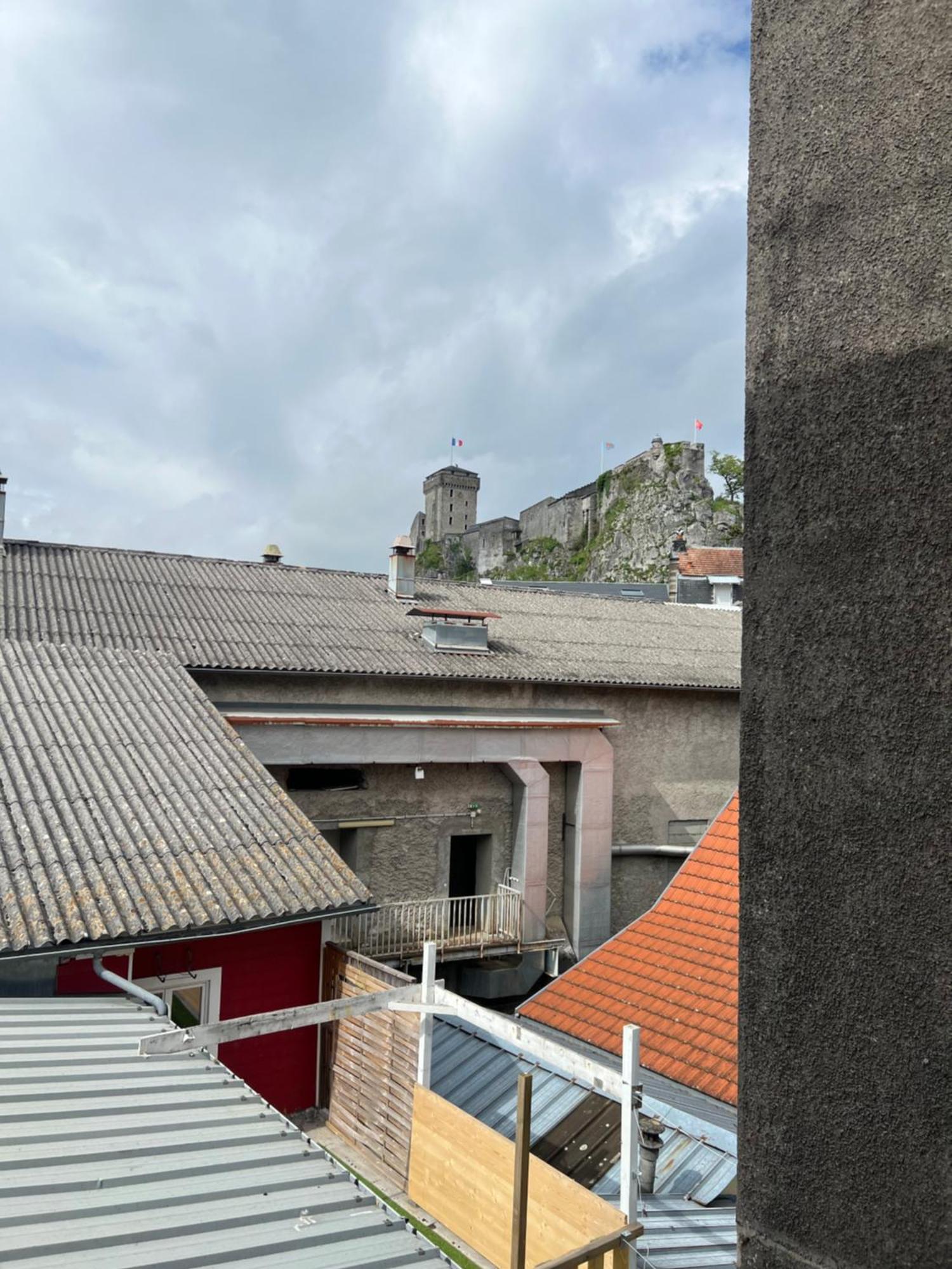 Residence Sainte Therese - La Villa Selva Lourdes Exterior foto