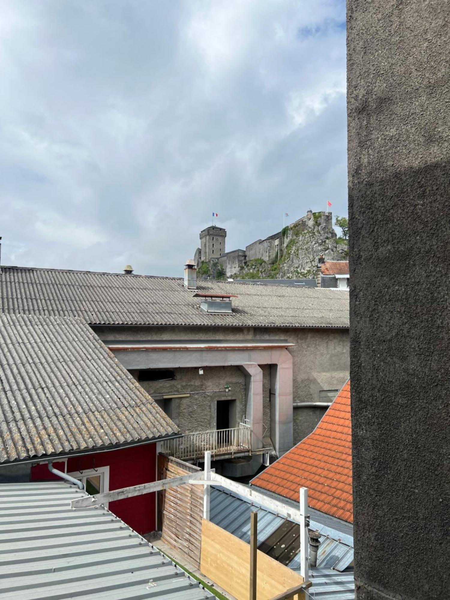 Residence Sainte Therese - La Villa Selva Lourdes Exterior foto
